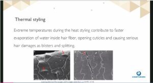 Chemyunion&rsquo;s ThermoSheild Premium Protects Hair Against Thermal Damage